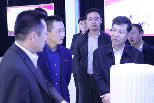 淄博市市長周連華一行蒞臨公司視察指導工作